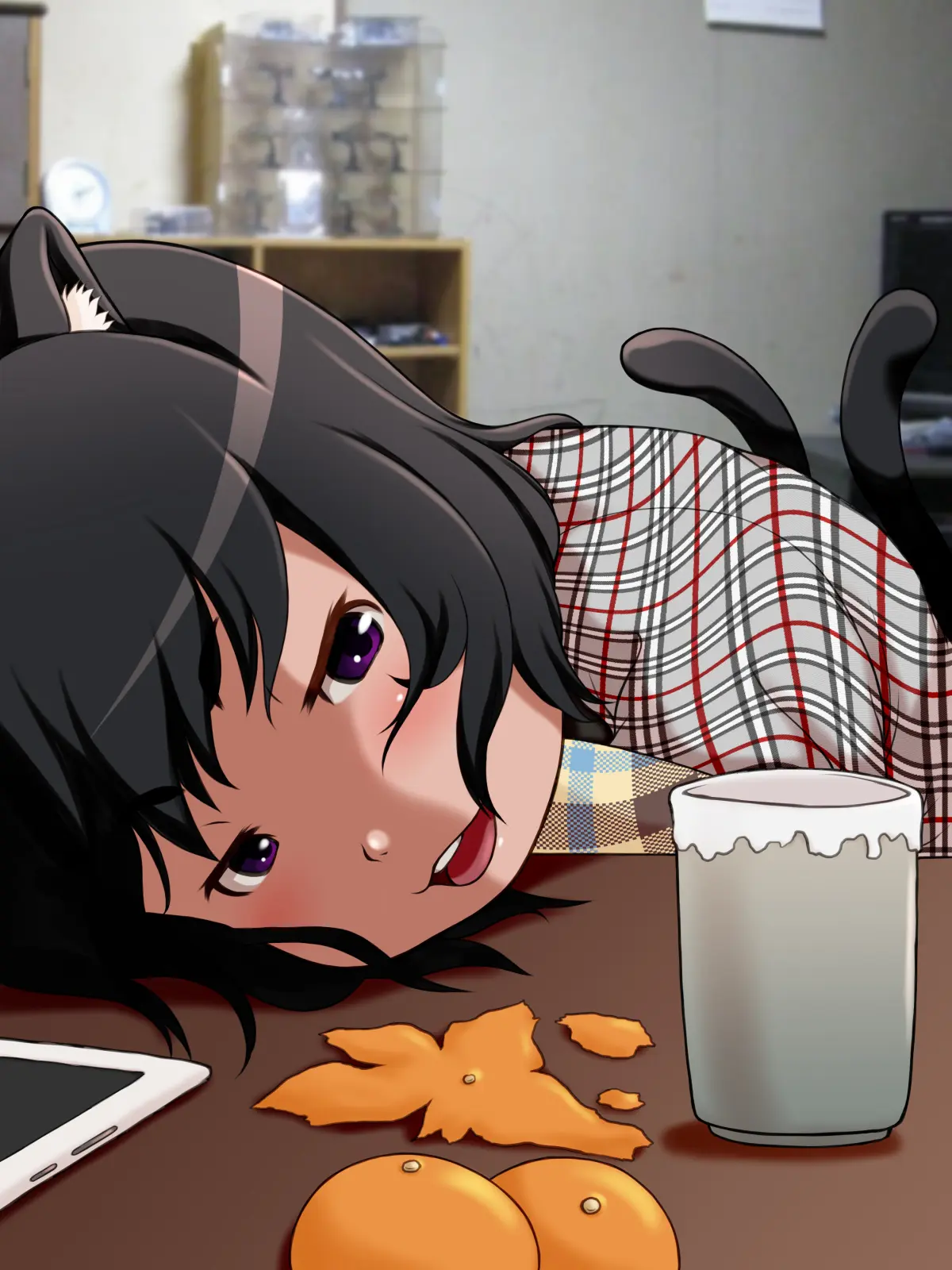 Ie Ni Kaereba Neko Ga Iru | 집에 돌아가면 괭이가 있다.